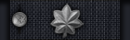 Lieutenant Colonel