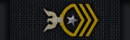 Chief Petty Officer